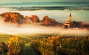 10 regiões menos badaladas de Bordeaux, mas com grandes vinhos
