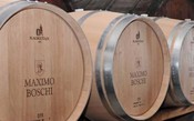 Maximo Boschi, a vinícola que nasceu para paladares exigentes