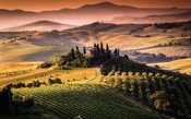 Casca grossa: porque o Brunello de Montalcino é tão adorado no mundo do vinho