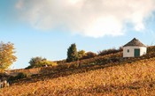 O que são as casinhas de pedra no meio dos vinhedos da Borgonha?
