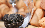 Descubra o mundo perfumado das trufas negras e os vinhos certos para a harmonização