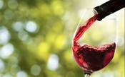 A adorável uva Carignan é a “outra Pinot Noir”, de um dos grandes terroirs da França 