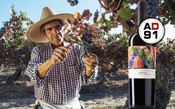 Best Buy: 7 Colores Gran Reserva Carménère 2017 é a essência da uva com a cara do Chile