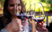 Cabeça boa: quem bebe vinho socialmente fica com o cérebro mais ativo – e por mais tempo