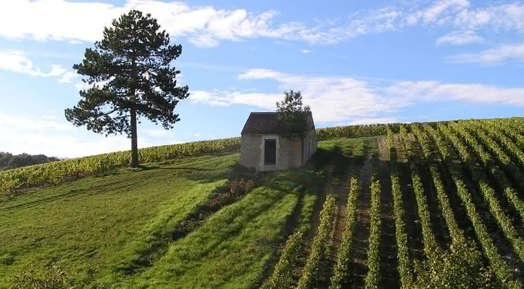  Chablis, o vinho dos monges que cria na Borgonha um novo conceito de terroir  