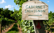 Cabernet Sauvignon! História, curiosidades e dicas de vinho com a rainha das uvas