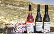 Após decisão judicial, vinícola é obrigada a indicar no rótulo sua origem de assentamentos Palestinos