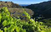 Nova fronteira do vinho chileno, a Ilha de Páscoa