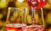Por que a badalada vinícola Era dos Ventos desponta na vanguarda do vinho nacional 