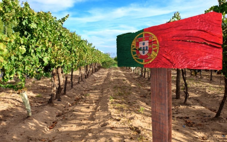 Exportações portuguesas de vinho têm o melhor resultado em vinte anos