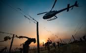 Geada combatida até com helicópteros destrói parte importante da colheita na França
