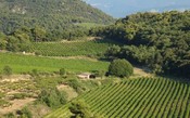É aprovada nova AOC para Côtes-du-Rhône-Villages