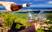 Terroir, tanino, perlage: um guia com os principais termos do mundo do vinho