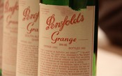 Grange: o célebre vinho de Syrah