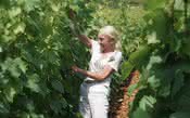 Lalou Bize-Leroy: a maga dos grandes vinhos da Borgonha, incluindo o Romanée-Conti