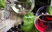 Qual é a diferença entre vinho fino e vinho de mesa?