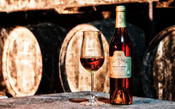 Sol engarrafado: o que faz o Moscatel de Setúbal um vinho tão especial?