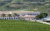 Operação contra a máfia siciliana chega a um dos maiores grupos vinícolas da Itália