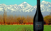 Vinho da semana: Norton Altura Pinot Noir 2018 e a graça do vinho de altitude