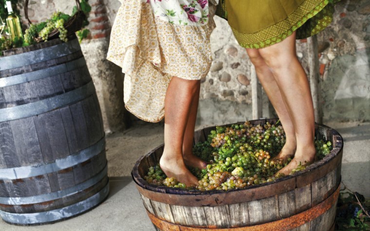 Com tecnologia disponível, porque ainda pisamos em uvas para produzir vinhos?