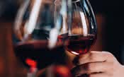 Da Cabernet à Chardonnay, há uvas semelhantes a elas que fazem vinhos que você vai adorar