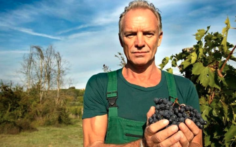 Sting: “Eu fui enganado quando comprei vinícola na Toscana”