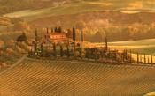 Supertoscano é o vinho italiano que nasceu fora da lei