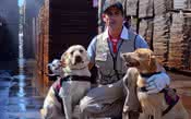 Tanoaria chilena usa cães para detectar bouchonné