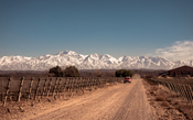 Alto Las Hormigas inova e pavimenta a longa estrada dos vinhos Malbec