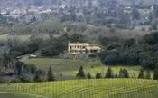 David Beckham compra vinícola no Napa Valley