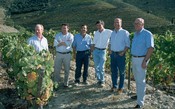 Família de Vinho do Porto compra vinhedo depois de 100 anos de espera