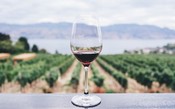 Diabetes: a vantagem do vinho