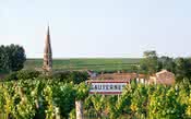 Mudança de denominação dos vinhos brancos secos de Sauternes preocupa produtores