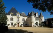 Novas descobertas apontam que o Château Haut-Brion existe há mais de 500 anos