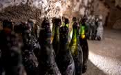 São encontradas garrafas de Champagne do século XIX 