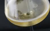 Avaliamos a taça Sparkle Italesse idealizada para potencializar a degustação de espumantes