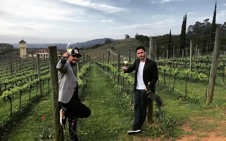 Avaliação Nacional de Vinhos consagra diversidade ...