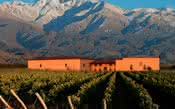 Conheça o Vale de Uco, local que reúne grandes vinhos argentinos