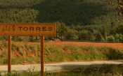 Vinho contra o vírus: a espanhola Família Torres entra na batalha