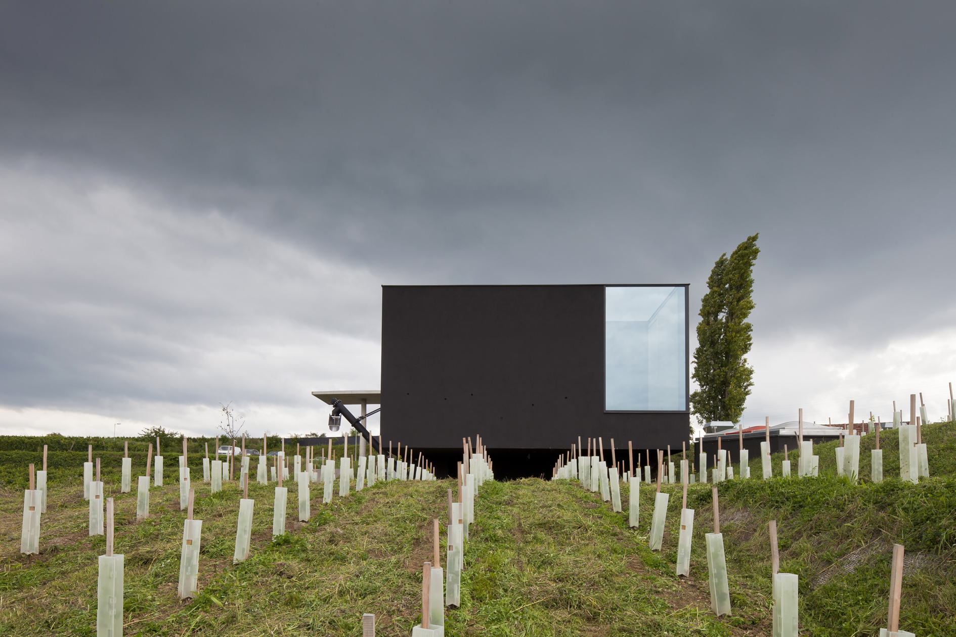 Design moderno “esconde” detalhes minimalistas e uma cave de 200 anos na vinícola austríaca Loimer