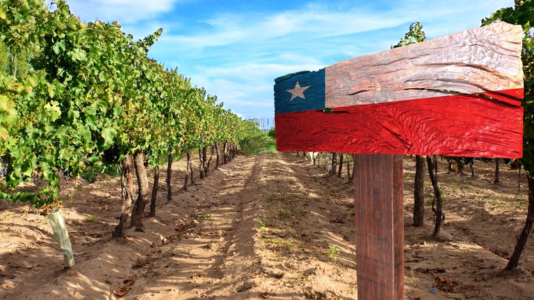 Chile mantêm bons estoques de vinhos